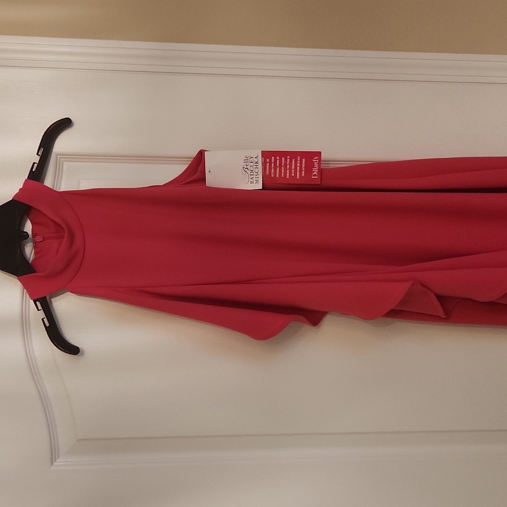 Size 4 Badgley Mischka Elegant Dress